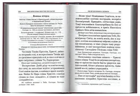 Тропарь триоди