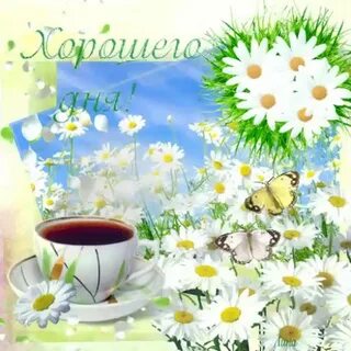 Солнечного утра и чудесного дня картинки
