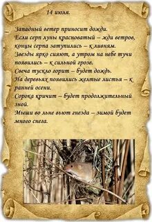 Какой сегодня день по народным приметам