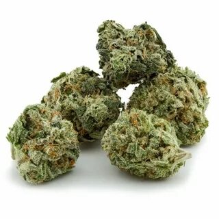 Maui Wowie Weed Strain.