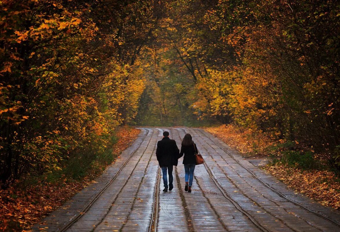 Осенняя дорога. Осенняя прогулка. Осенний парк. Прогулка осенью.