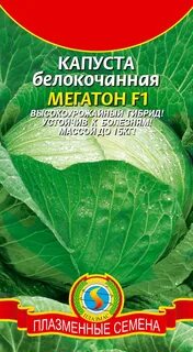 Капуста сорт мегатонн