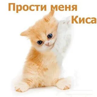 Ну не злись на меня