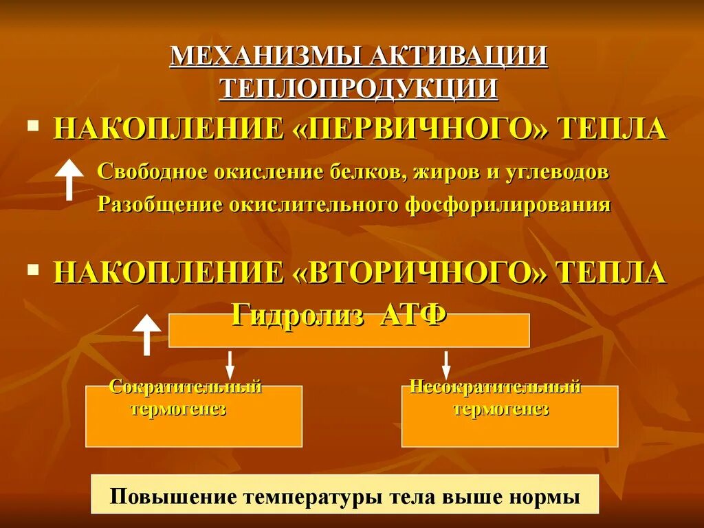 Повышение теплопродукции. Активация механизмов теплопродукции. первичное тепло это. первичное и вторичное тепло. первичная теплота физиология.