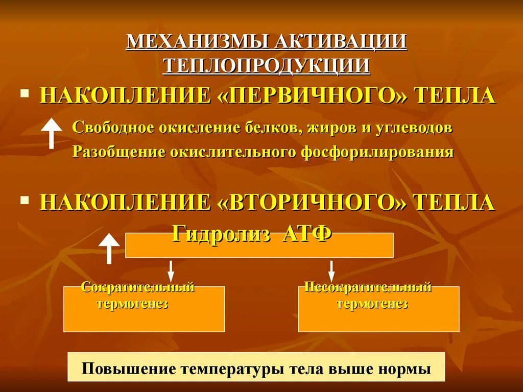 Что такое вторичная тепловая энергия. Активация механизмов теплопродукции. Первичное тепло это. Первичное и вторичное тепло. Первичная теплота физиология.