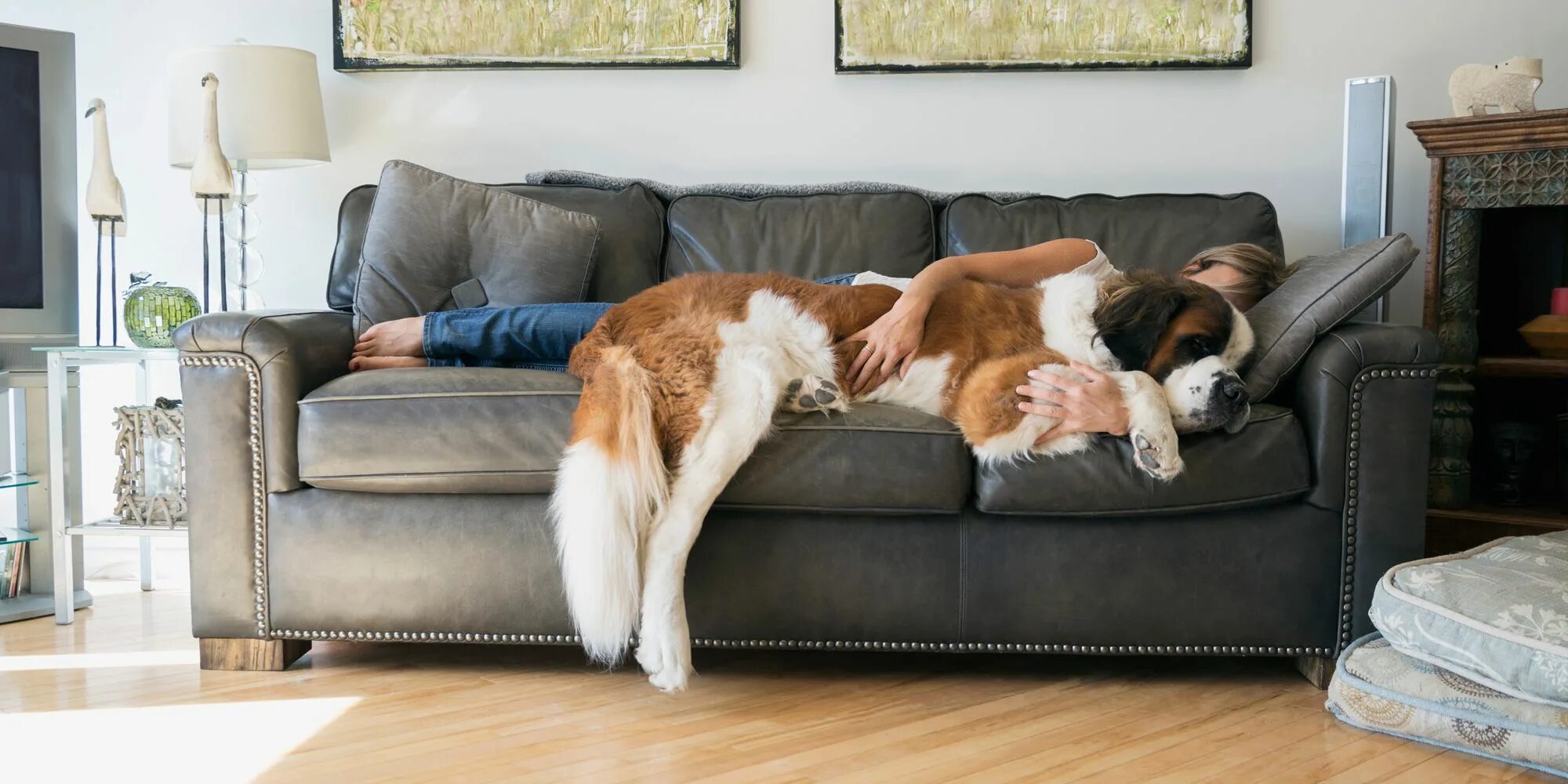 Факты о общении животных. Чему могут научить животные. Нужно ли уважать животных кратко. Любовь детей к животным. Сочинение на тему домашние питомцы.