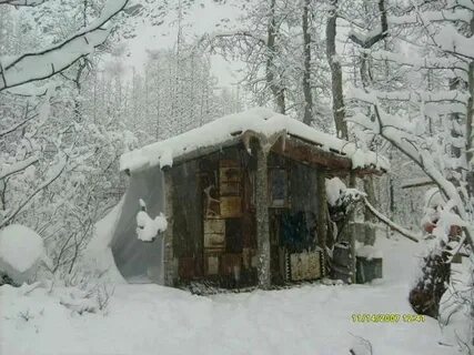 100 дней выживания зима