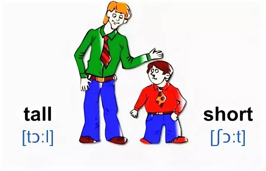 Карточки для английского языка высокий низкий. Tall short. Худой на английском языке. Описание человека на английском языке. Картинки для описания на английском.