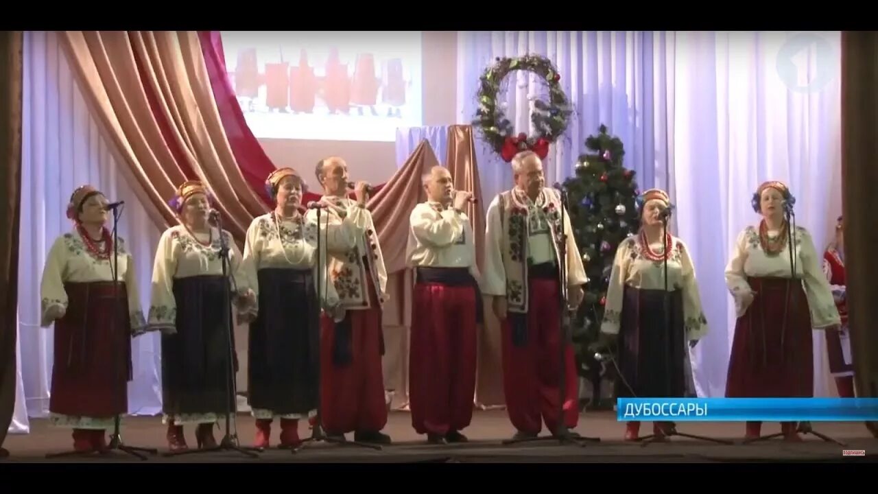 Бархатцы мимимикс. Чернобривцы текст. Украинские песни чернобривцы. Украинские песни чернобривцы. Marigold бархатцы.