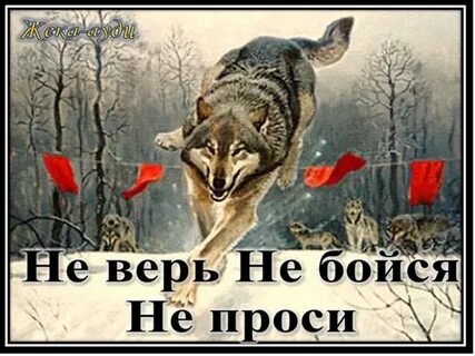 Три не проси