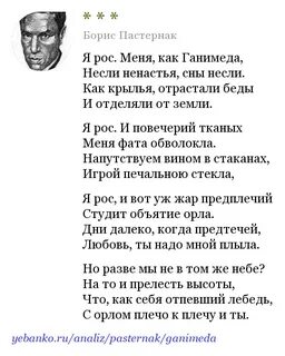 Пастернак красавица