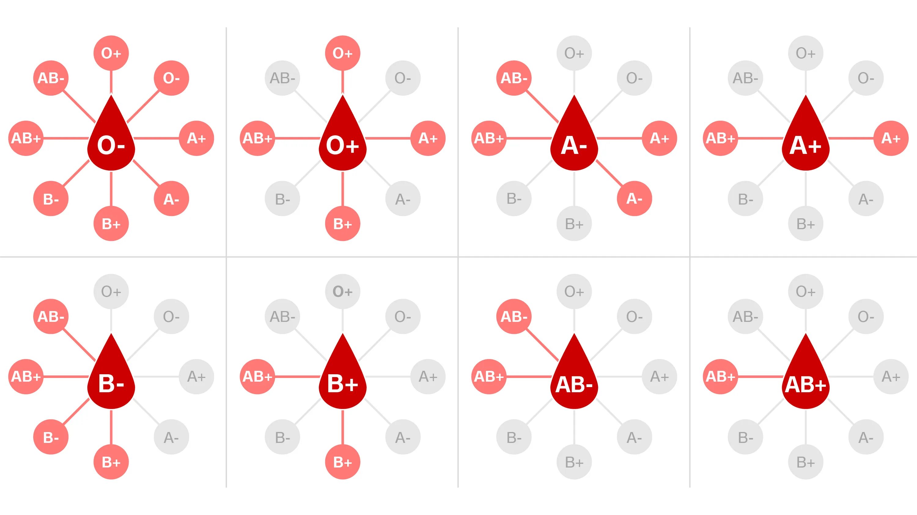 Blood receive. Blood types. группа крови blood type. группы крови анатомия. группа крови картинки.