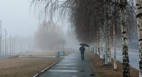 Погода была туманной и дождливой
