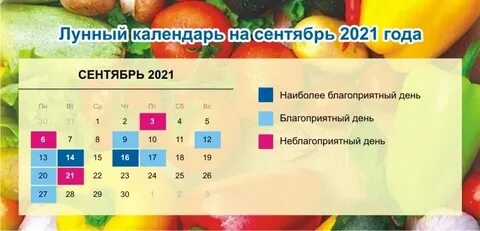 Благоприятные дни октябрь