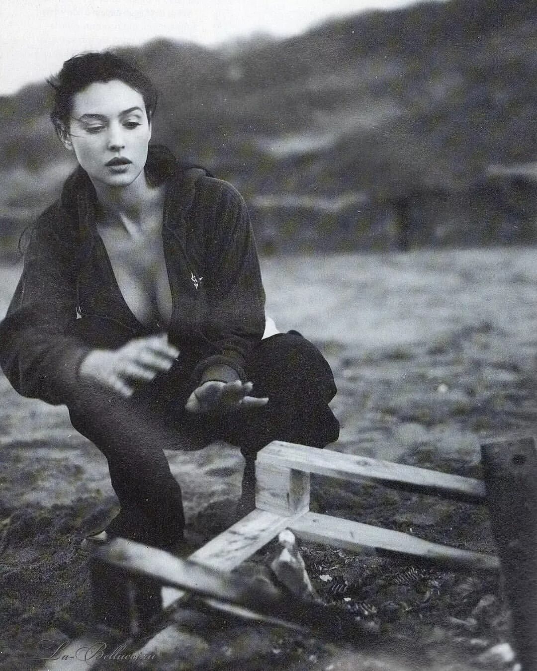 Monica magni одежда турция. Monica magni одежда турция. Monica brant 1998. Monica brant 1998. Одежда monica magni коллекции.
