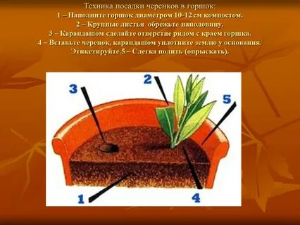Техника посадки