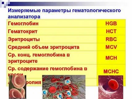 Гемоглобин hgb