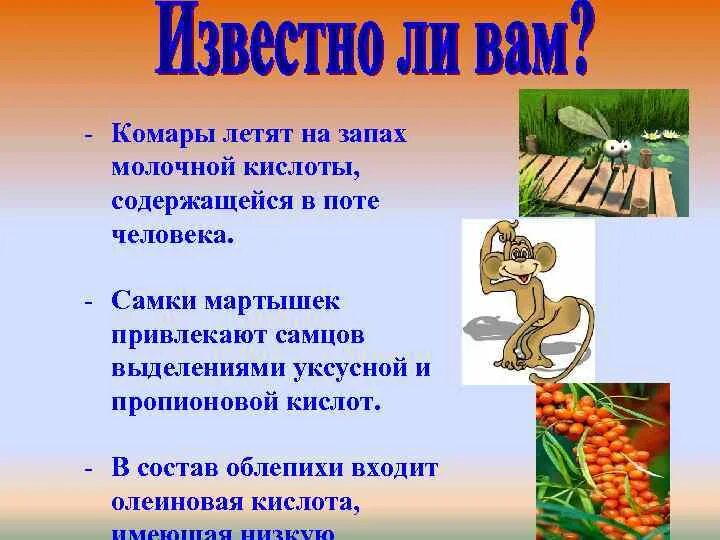 Молочная кислота в природе. Нахождение в природе молочной кислоты. Комар летит. Комар улетает. Полетевший комаров