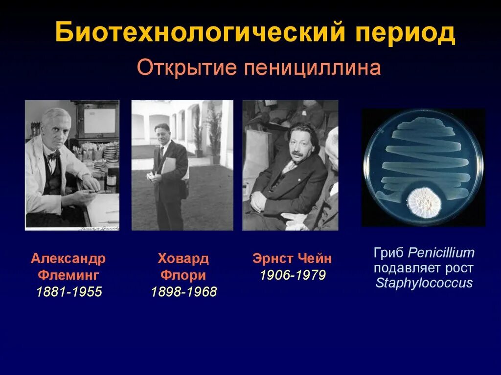 Кто первый открыл пенициллин. Флеминг пенициллин презентация. Флеминг микробиология открытия.