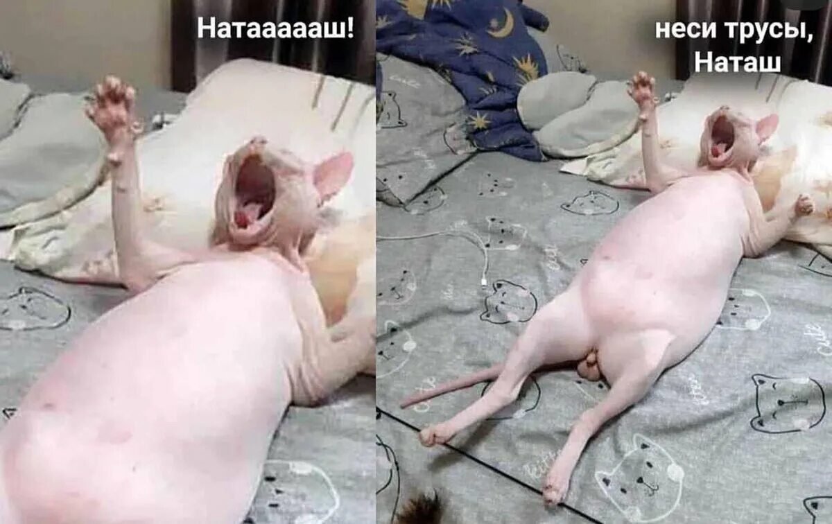 Подборка забавных фото "мы" в их возрасте и "они" в нашем Винтаж СССР: косметика