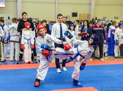 Тхэквондо воронеж