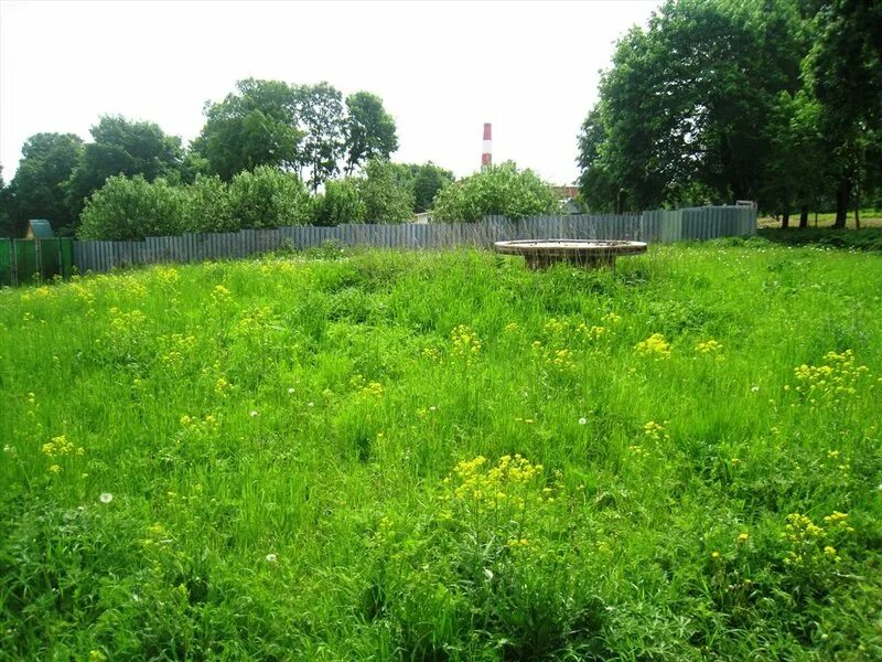 аэродром большое грызлово. липицы тульская область чернский район. деревня липицы московская область. тульская область чернский район поселок липицы. липицы тульская область чернский район.