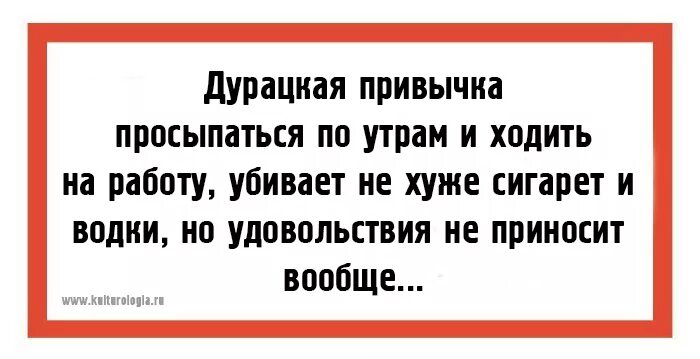 Глупые вопросы анекдоты. Дурацкие шутки. Приколы про глупую работу.