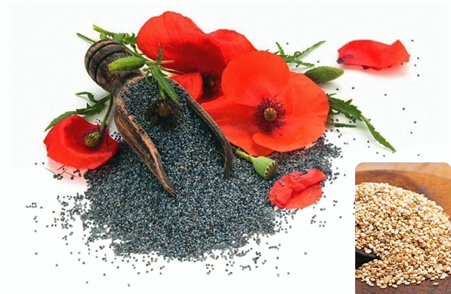 Маковые семечки. Семена мака опиумного. Маковые зерна. Мак цветок семена. Мак кондитерский 100г.