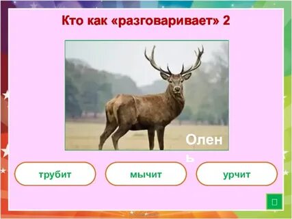 Слово олень звуки