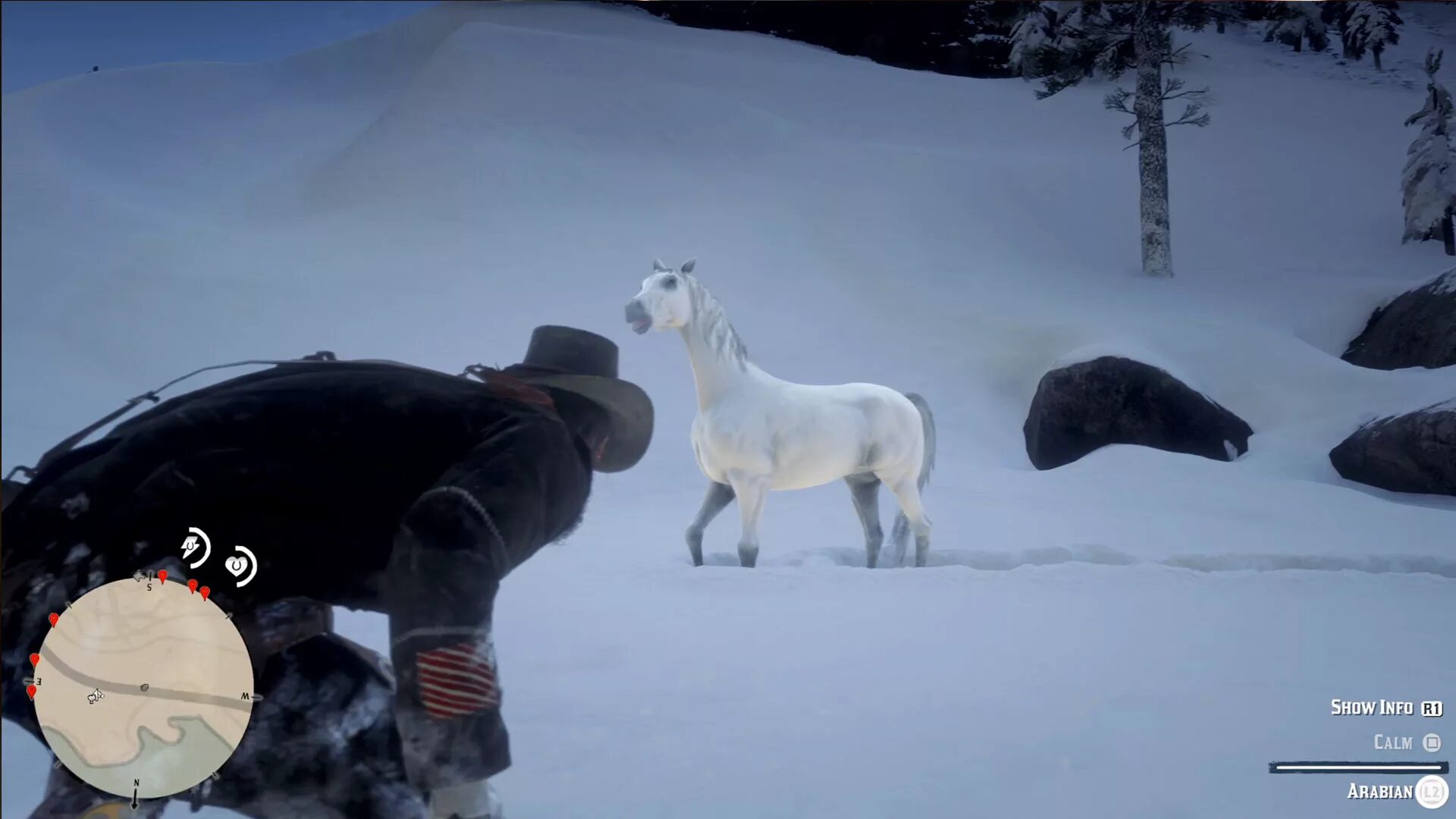 Рдр 2 временная лошадь. Арабский конь в red dead redemption 2. белая арабская лошадь rdr 2. арабская белая лошадь рдр 2. арабская лошадь рдр 2.