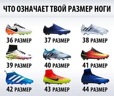 Твой размер отзывы