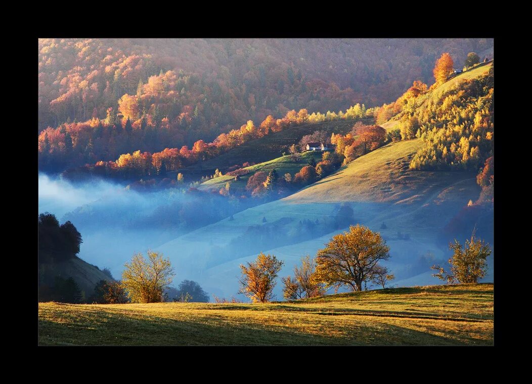 Что такое пейзаж. Профессиональные пейзажи. Фотоискусство пейзаж. Фотографирование пейзажей. Пейзажная съемка.