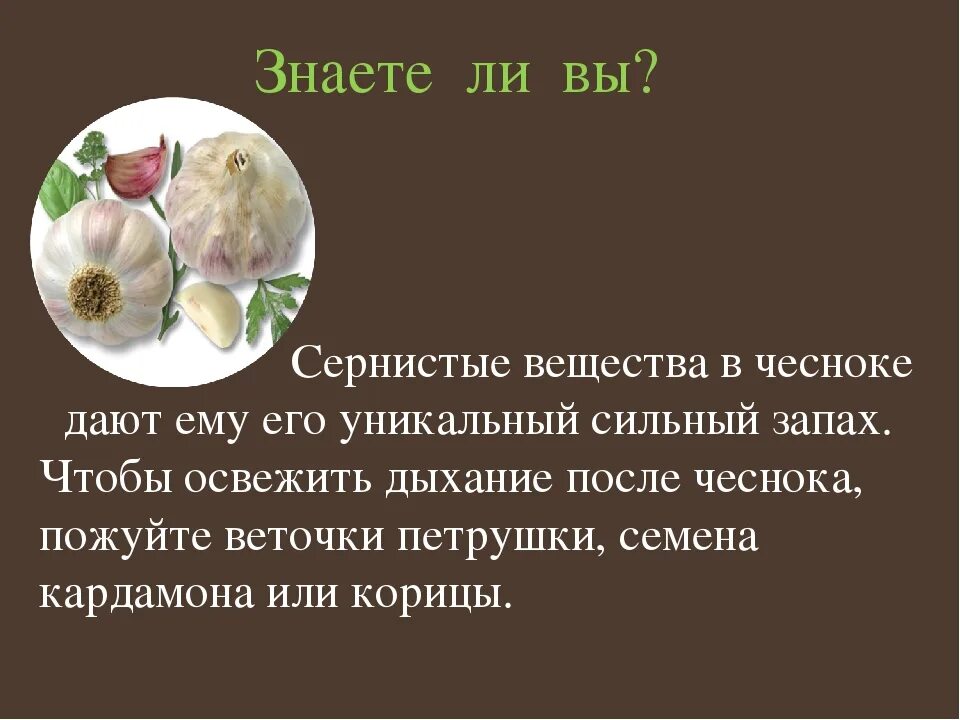 Полезные свойства чеснока. Чем полезен чеснок для организма. Что полезного в чесноке. Чеснок польза и вред для здоровья.