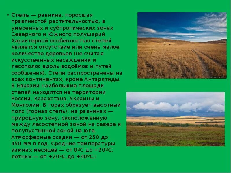 В какой природной зоне омская область. Сообщение о зоне степей. Природная зона степь 5 класс биология. Доклад про степь. Характеристика степи.