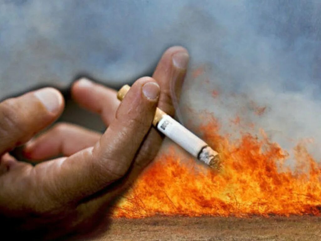 Неосторожное курение. Не потушенная сигарета. Непотушенная сигарета пожар. Сгоревший табак