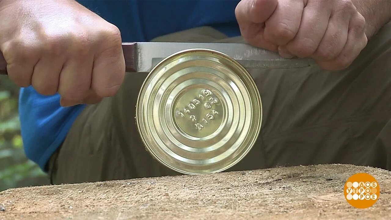 Как открыть банку консервную крышкой. Консервная банка открытая ножом. нож для консервов. открыть консервную банку. вскрыть консервную банку.