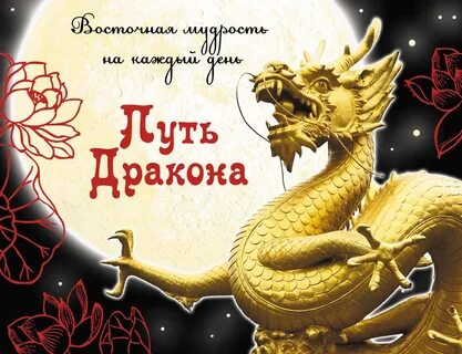 Пусть мудрость дракона