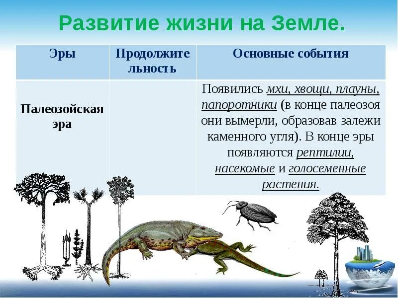 Как развивалась жизнь людей
