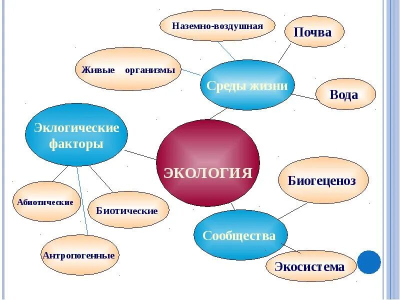 Развитию критического чтения. Технология развития критического мышления. Технология критического мышления через чтение и письмо. Методы и приемы технологии критического мышления. Технология критического мышления (РКМЧП).