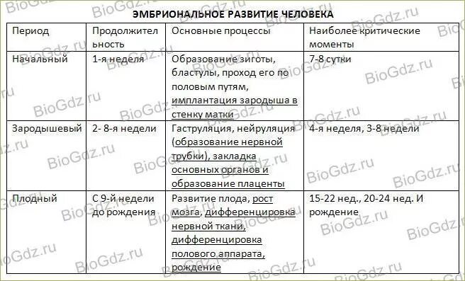 Стадии эмбрионального развития таблица. Эмбриональный период развития таблица. Периоды эмбрионального развития человека таблица. Онтогенез формирование таблица.