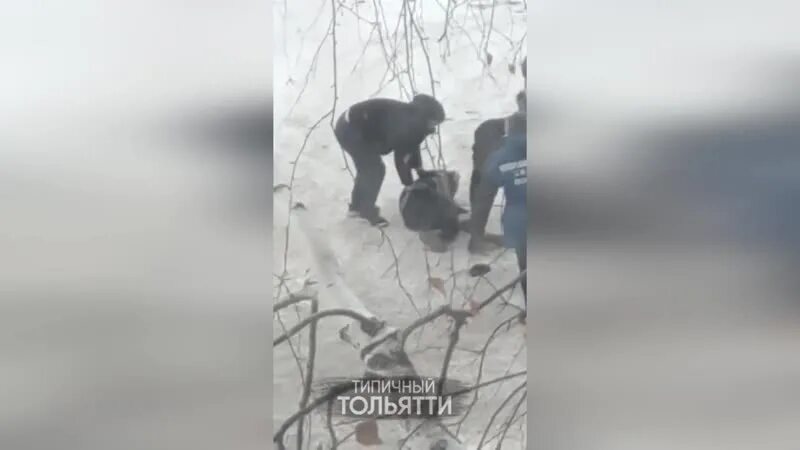 Проголодавшегося медведя запрут бывало. Проголодавшегося медведя запрут бывало