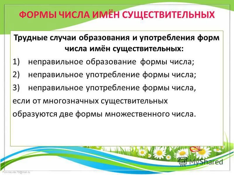 Сообщение на тему нормы употребления форм имен существительных. Употребление форм числа имен существительных. Употребление форм числа имен существительных. Грамматические формы имен прилагательных. Употребление форм числа.