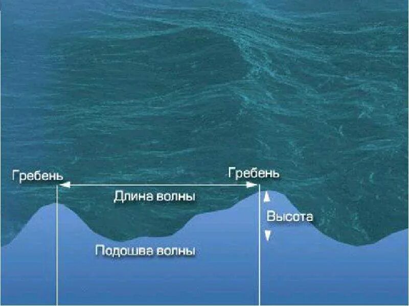 Волны в океане 6 класс география. Строение волны. Строение волны. Высота морских волн. Строение волны.