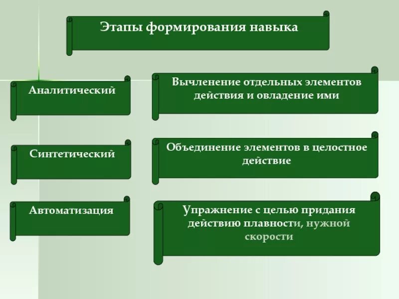 Этапы и условия формирования навыка. Этапы развития умения. Этапытформирования навыков. Стадии формирования умений и навыков. Какие же этапы становления проходит новый человек