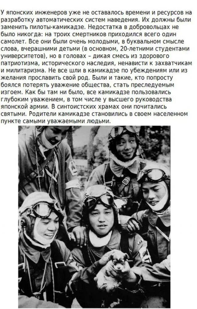 Ворвался в жизнь как камикадзе. Ворвался в жизнь как камикадзе