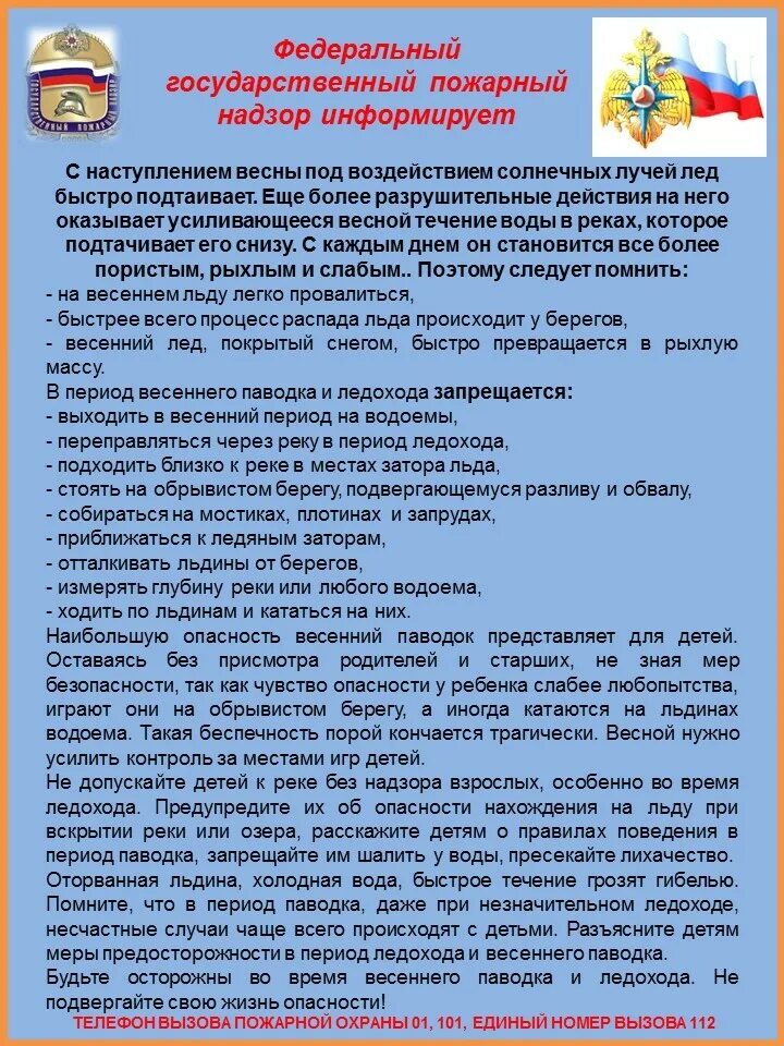 Правила пожарного надзора. Федеральный государственный пожарный надзор информирует. Федеральная противопожарная надзор. Федеральный гос пожарный надзор. Деятельность государственного пожарного надзора.