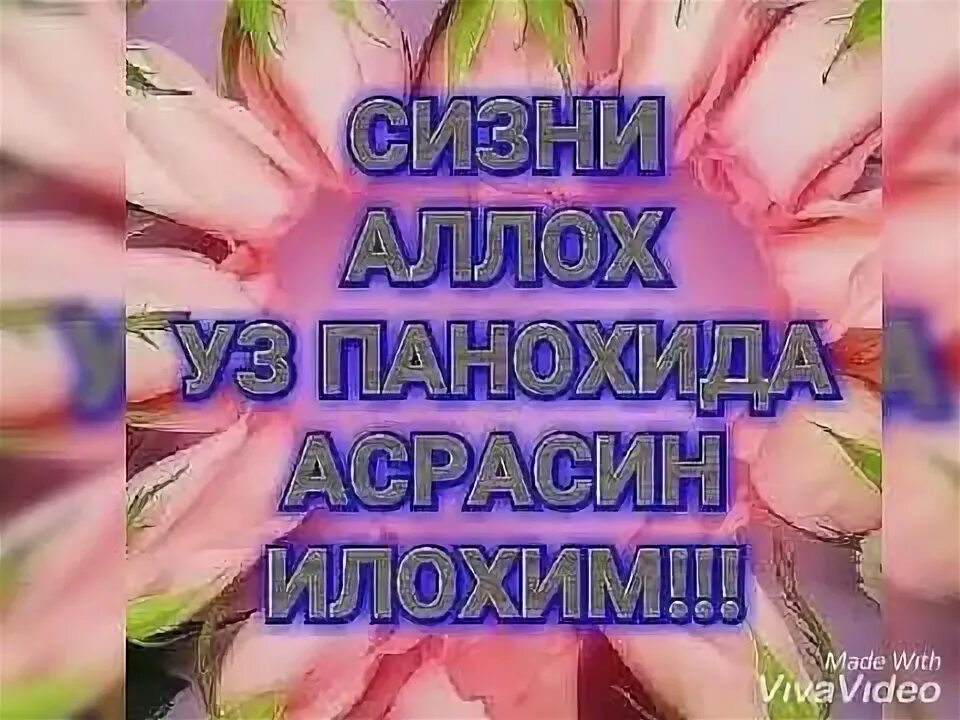 Саломат булинг. Аллох панохида булинг. Саломат булинг. Омонат хакида. Оллох панохида асрасин.