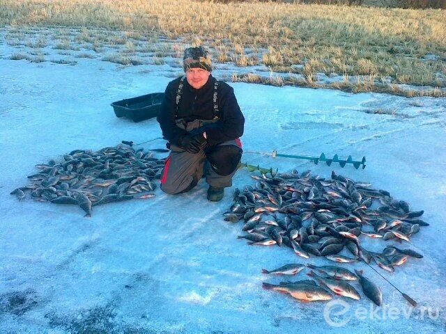 Рыбалка на озере Ильмень Новгородской области. Рыбалка Ильмень озеро Новгородская. Река Ловать рыбалка. Озеро ильмень рыбалка