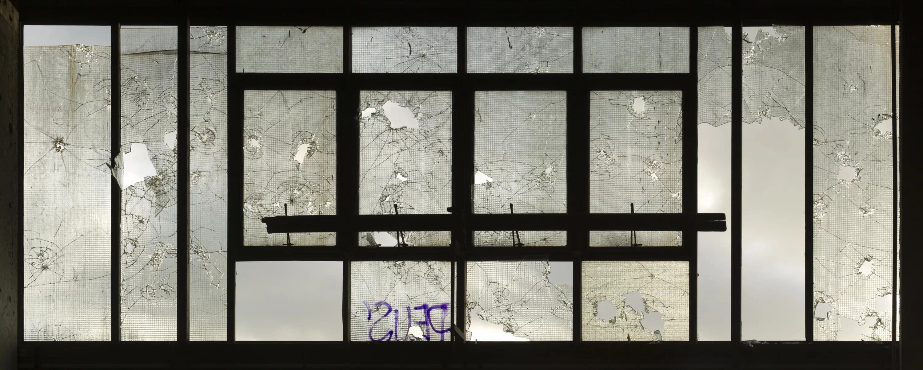 The windows are