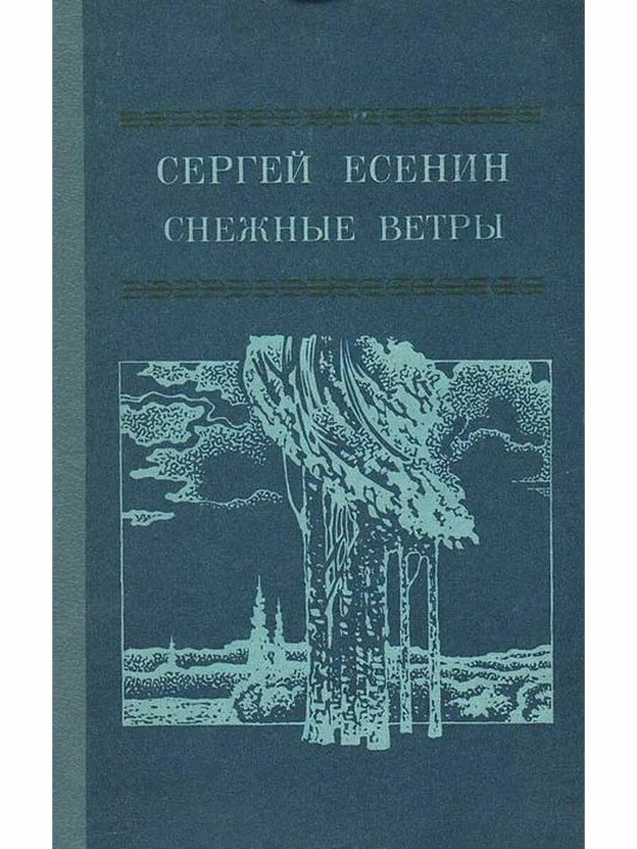 Книга ветер. Книга на снегу. Стихотворение Есенина ветры ветры о снежные. Стихи Есенина ветры ветры о снежные ветры.